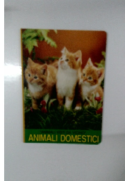 ANIMALI　DOMESTICI