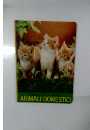 ANIMALI　DOMESTICI