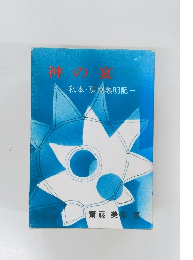 神の宴　私本・房総黎明記