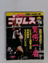 プロレス　1990年　12／4号