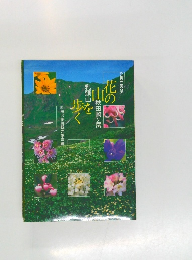 花の山を歩く