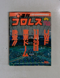 プロレス　1989年　8/22号