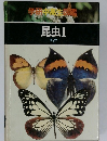 昆虫Ⅰ  チョウ