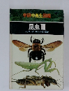 学研中高生図鑑  昆虫Ⅲ　バッタ　ハチ　セミ　トンボほか
