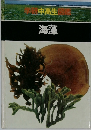 学研中高生図鑑　海藻
