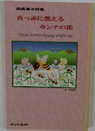田島廣子詩集　真っ赤に燃えるカンナの花