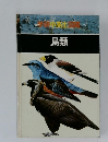 学研中高生図鑑　鳥類