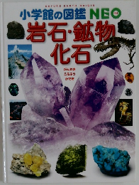 小学校の図鑑 NEO 岩石・鉱物・化石