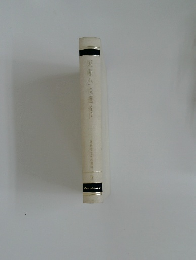 短編小説選(近代>