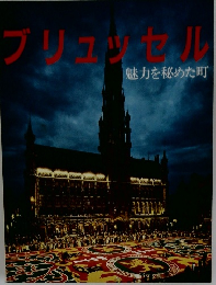 ブリュッセル　　魅力を秘めた町