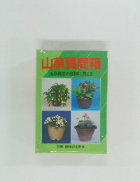 山草質問箱　山草栽培の疑問に答える