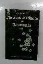 A GUIDE TO　Flowers　&　Plants　of  Tasmania