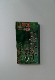 山野草  ポケット図鑑
