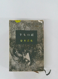 半生の記