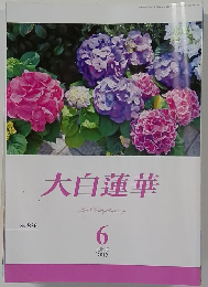 大白蓮華　2019年6月　No.836　