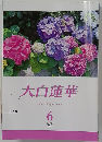 大白蓮華　2019年6月　No.836　