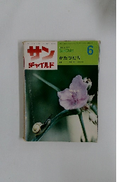 サン チャイルド 6