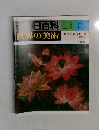 朝日百科　113　5/25　世界の美術　