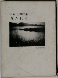 浜岡芳朗歌集　波さわぐ