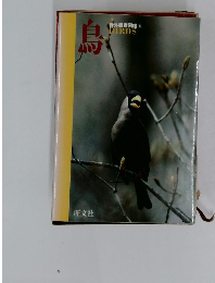 鳥  野外観察図鑑  5