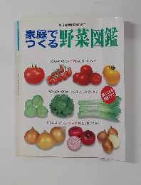 家庭でつくる野菜図鑑　