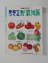 家庭でつくる野菜図鑑　