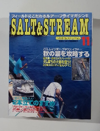 SALT&STREAM　1995年11月号