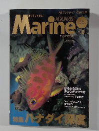 AQUARIST  Marine 8　1998夏