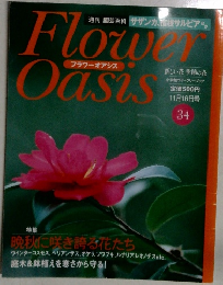 Flower Oasis 34
