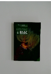 Dive Leader　BSAC