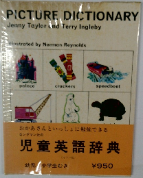 PICTURE DICTIONARY