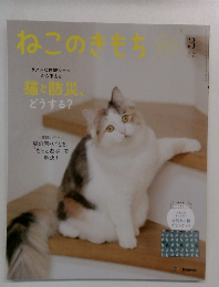 ねこのきもち　3