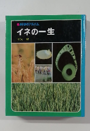 イネの一生　