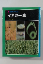 イネの一生　