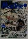 Marine　No.5　