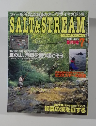 SALT&STREAM　1995年7月