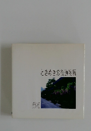 ときめきの街道物語