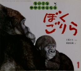 ちいさなかがくのとも　1　ぼくごりら