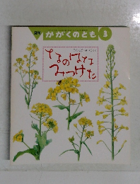 月刊 かがくのとも 3　なのはなみつけた