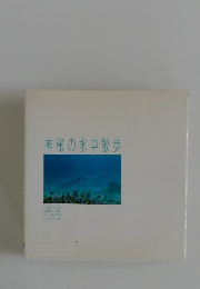 神秘の水中散歩