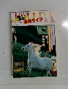 乗馬ライフ　No.８１