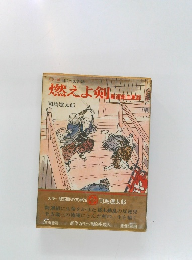 燃えよ剣　新選組血風録