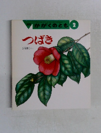 月刊かがくのとも　2　つばき