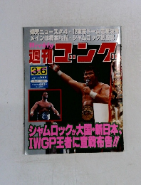 週刊 ゴング 1997 3.6
