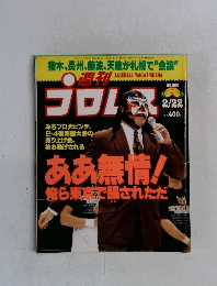 プロレス　1994－2－22　No.600