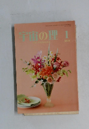 宇宙の理　2019－1