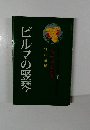 ビルマの竪琴　ジュニア文学名作選