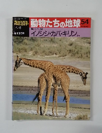 朝日百科動物たちの地球54
