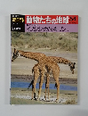 朝日百科動物たちの地球54