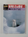 動物たちの地球7